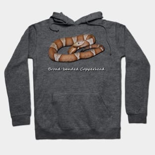 Broad-banded Copperhead Hoodie